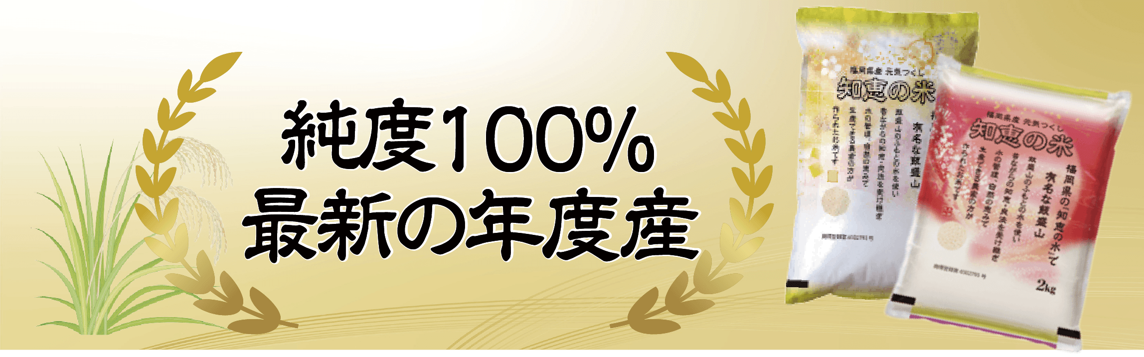 100%新年度産