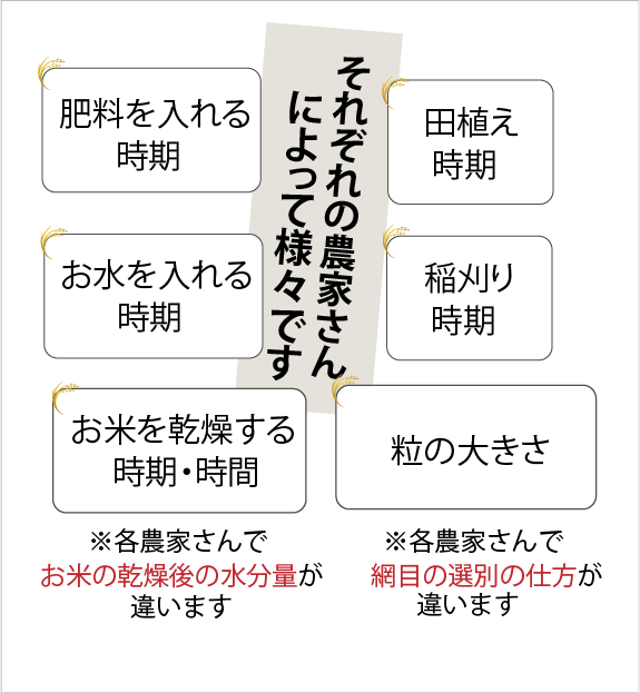 お米は様々