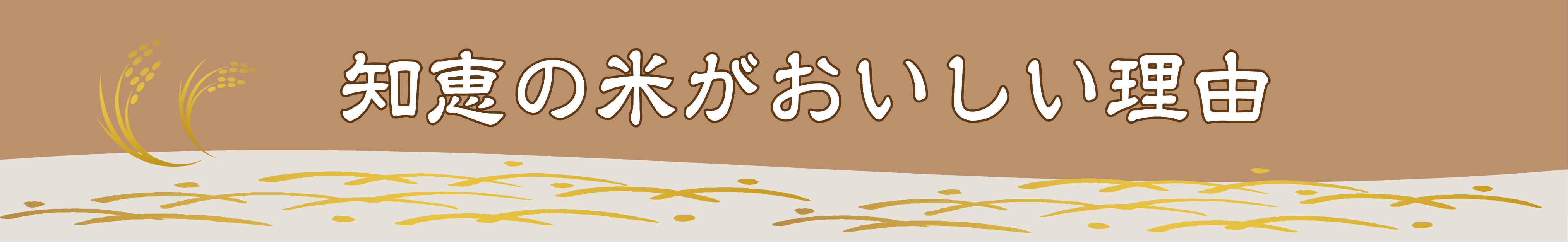 知恵の米が美味しい理由タイトル