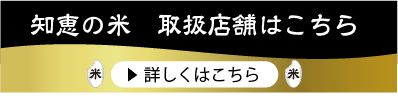 取扱店舗についてボタン