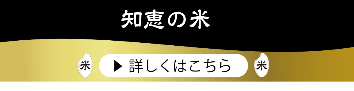 知恵の米ボタン