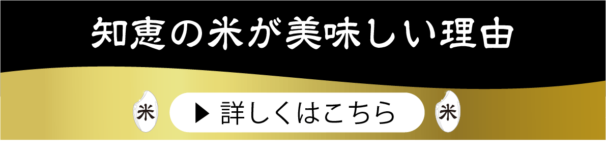 知恵の米がおいしい理由