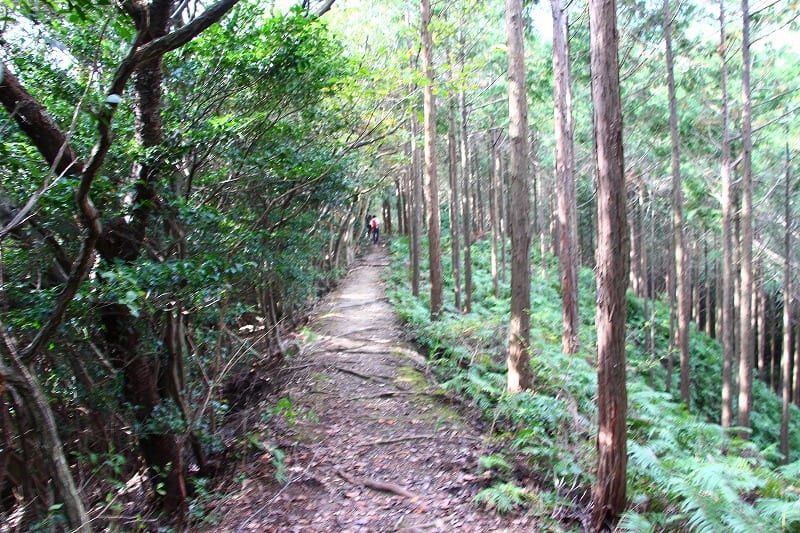 飯盛山登山ハイキング